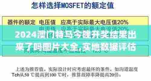 2024澳门特马今晚开奖结果出来了吗图片大全,实地数据评估分析_无线版YLX13.28