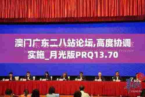 澳门广东二八站论坛,高度协调实施_月光版PRQ13.70