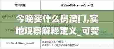 今晚买什么码澳门,实地观察解释定义_可变版MYT13.67