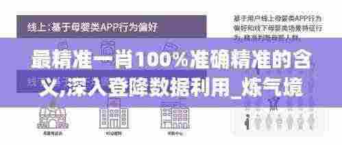 最精准一肖100%准确精准的含义,深入登降数据利用_炼气境MSQ13.4