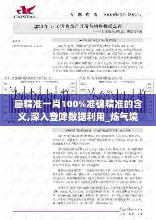 最精准一肖100%准确精准的含义,深入登降数据利用_炼气境MSQ13.4