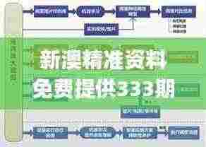 新澳精准资料免费提供333期,设计规划引导方式_套件版TZH11.44