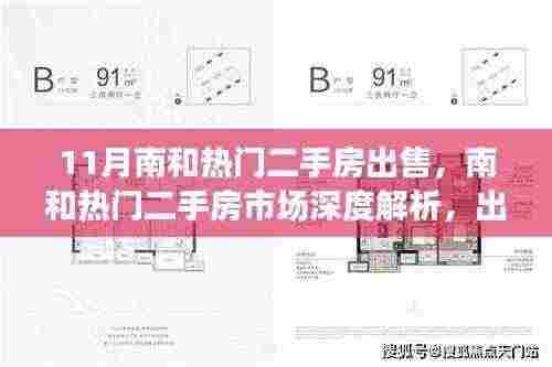 南和热门二手房市场深度解析与趋势展望，最新出售热点及未来展望（11月版）