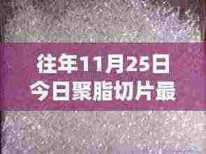 聚脂切片背后的故事，最新行情揭示友情与家的纽带，温暖故事回顾