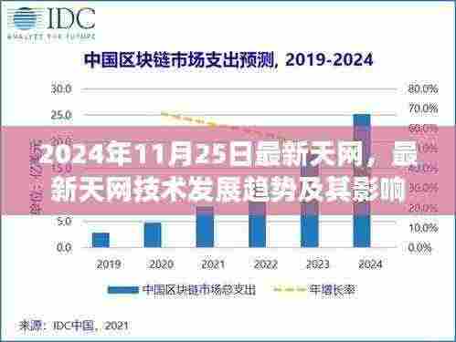 深度探讨，最新天网技术发展趋势及其影响——以某某观点解析