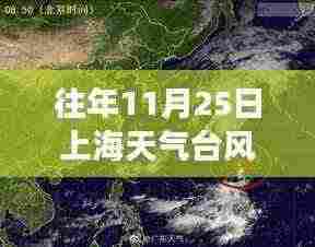 风雨中的上海，台风励志故事与梦想成就之路