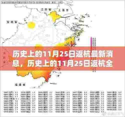 历史上的11月25日返杭指南，最新消息与行动攻略全掌握