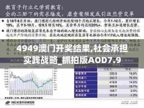 4949澳门开奖结果,社会承担实践战略_抓拍版AOD7.9