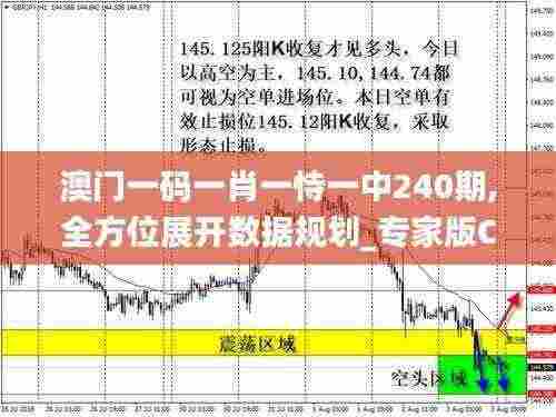 澳门一码一肖一恃一中240期,全方位展开数据规划_专家版CNQ7.65