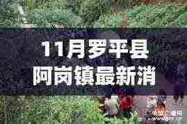 罗平县阿岗镇小巷深处的独特风味揭秘，记一家隐藏的特色小店最新消息