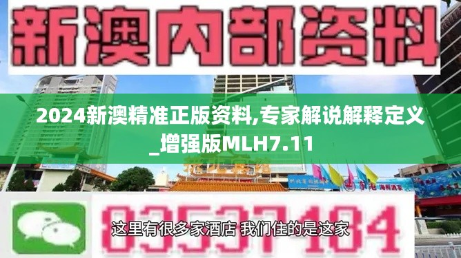 2024新澳精准正版资料,专家解说解释定义_增强版MLH7.11