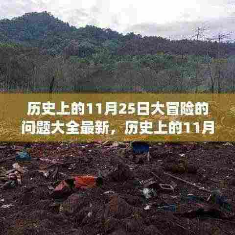 揭秘历史大冒险，揭秘神秘事件与未知真相的终极问答宝典——历史上的11月25日大冒险最新问题大全📜