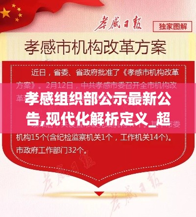 孝感组织部公示最新公告,现代化解析定义_超高清版OFG7.52