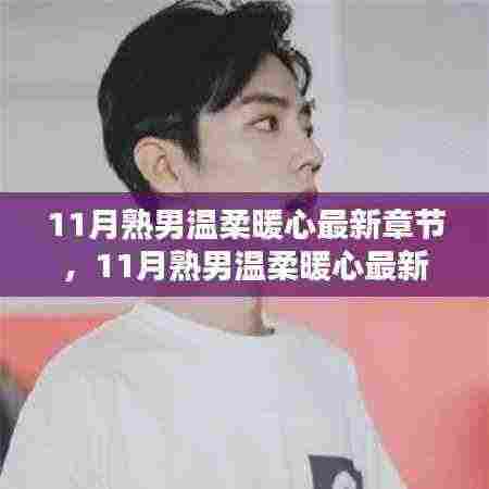 11月熟男温柔暖心，最新章节评测与介绍
