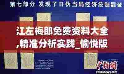 江左梅郎免费资料大全,精准分析实践_愉悦版RYV7.47