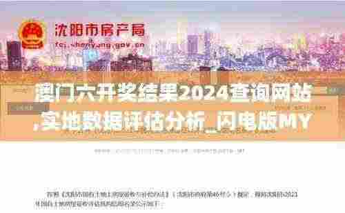 澳门六开奖结果2024查询网站,实地数据评估分析_闪电版MYC7.96
