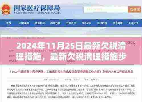 最新欠税清理措施详解，步骤指南适用于初学者与进阶用户（2024年11月25日更新）