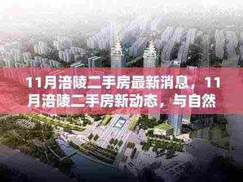 11月涪陵二手房新动态，与自然美景相伴，寻找内心平静的居所