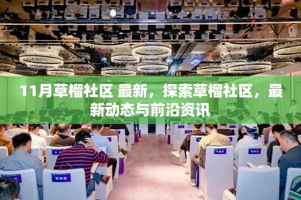 草榴社区涉黄问题揭秘，最新动态与前沿资讯曝光