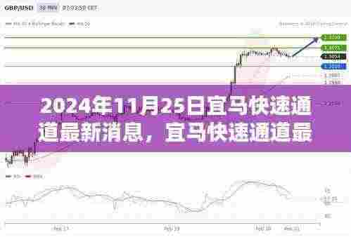 宜马快速通道最新消息及行动指南（全面解读，2024年11月版）