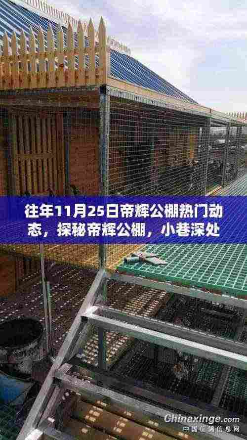探秘帝辉公棚,揭秘往年11月25日的热门动态与独特风味秘境回顾