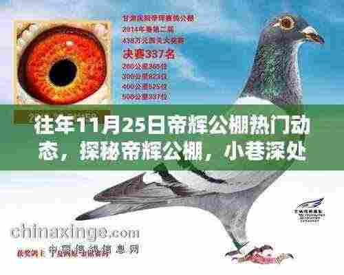 探秘帝辉公棚,揭秘往年11月25日的热门动态与独特风味秘境回顾