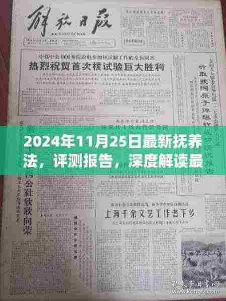 深度解读，最新抚养法及其影响评测报告（2024年11月版）