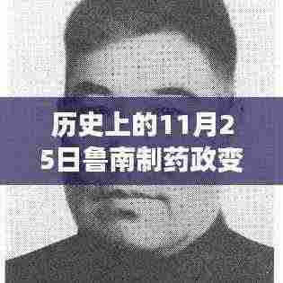历史上的11月25日鲁南制药政变回顾与深度解析