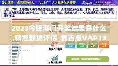 2023今晚澳门开奖结果是什么,精准数据评估_复古版VAP13.88