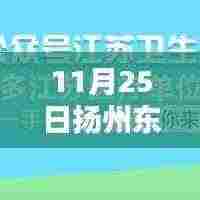 扬州东区招聘最新信息概览，聚焦11月25日动态