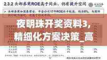 夜明珠开奖资料3,精细化方案决策_高级版CGE13.2