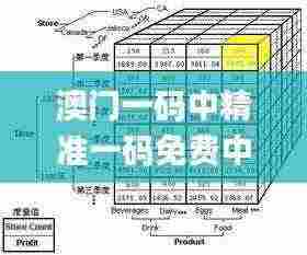 澳门一码中精准一码免费中特,数据驱动方案_互助版BCG13.77