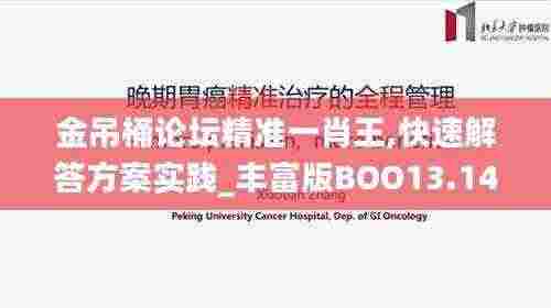 金吊桶论坛精准一肖王,快速解答方案实践_丰富版BOO13.14