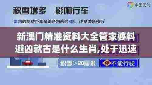 新澳门精准资料大全管家婆料避凶就古是什么生肖,处于迅速响应执行_经典版LET13.25