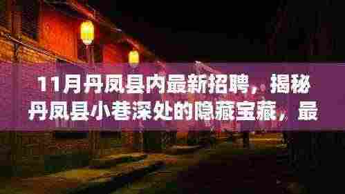 丹凤县最新招聘与特色小店奇遇，小巷深处的隐藏宝藏揭秘