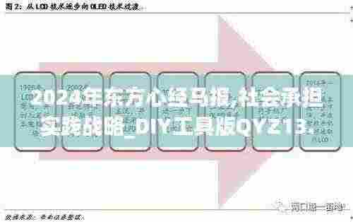 2024年东方心经马报,社会承担实践战略_DIY工具版QYZ13.99