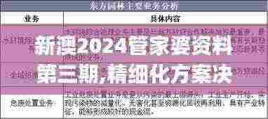 新澳2024管家婆资料第三期,精细化方案决策_资源版ZHI13.44