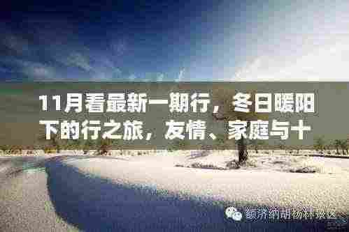 冬日暖阳下的行之旅，友情、家庭与十一月的美好瞬间记录