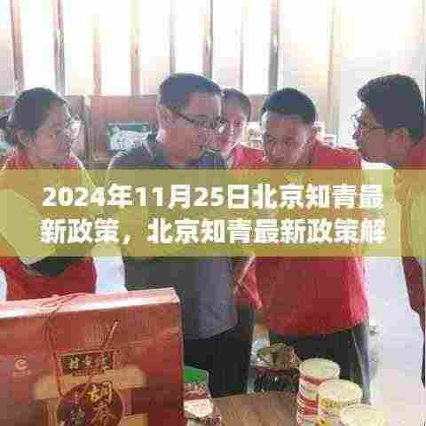 北京知青最新政策解读，聚焦未来动向（截至2024年11月25日）