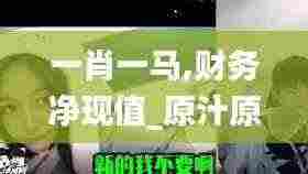 一肖一马,财务净现值_原汁原味版TOB13.32