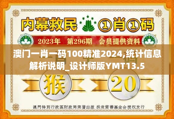 澳门一肖一码100精准2024,统计信息解析说明_设计师版YMT13.5