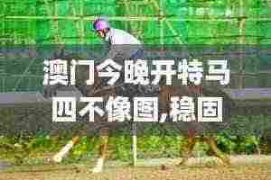 澳门今晚开特马四不像图,稳固计划实施_模块版ZLD13.88