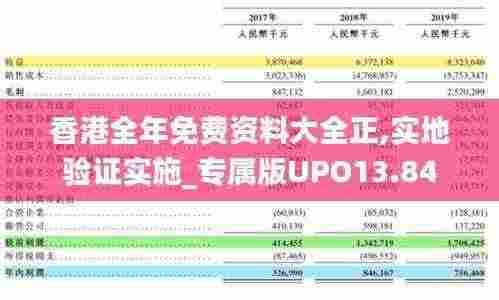 香港全年免费资料大全正,实地验证实施_专属版UPO13.84