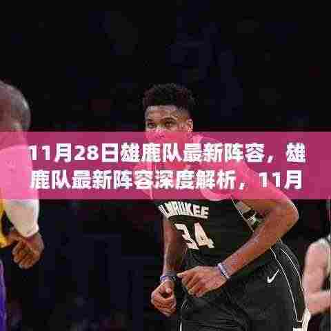 雄鹿队最新阵容深度解析，崛起之路与未来展望（11月28日更新）