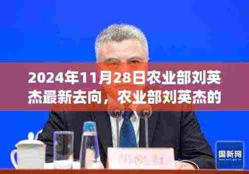 农业部刘英杰最新动向揭秘，展望与解析（2024年11月28日）