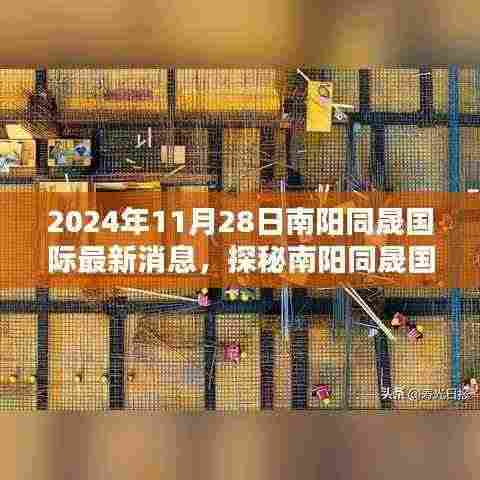 探秘南阳同晟国际，小巷深处的独特风味——最新消息速递