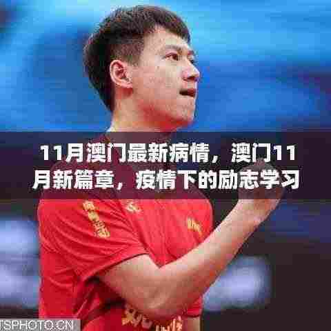 澳门11月疫情下的励志学习之旅，自信与成就的光辉篇章