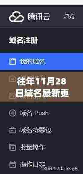 友情魔法与意外域名之旅，最新域名纪元揭秘