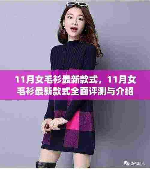 『11月女毛衫最新款式全解析与评测』