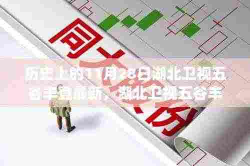 湖北卫视五谷丰登启程探寻自然美景之旅，历史上的11月28日最新篇章